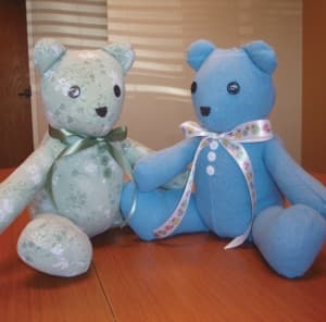 Two stuffed teddy bears