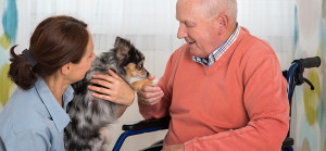Pet Therapy