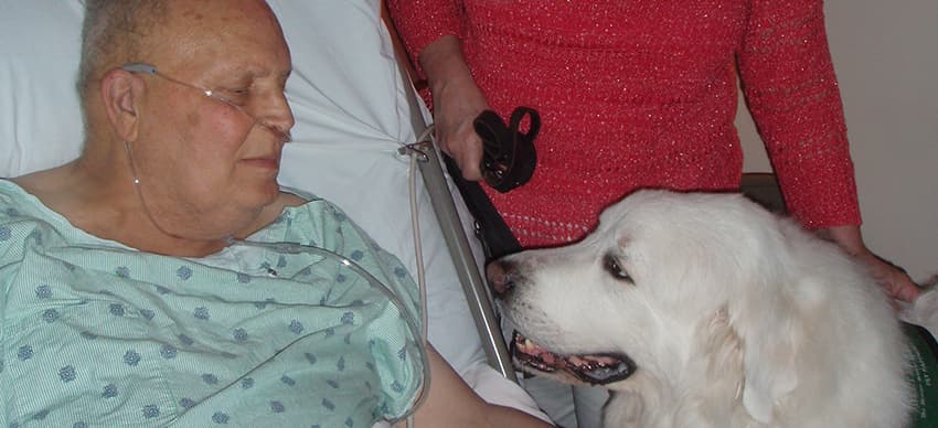 Man lying in bed with breading tube with a large white dog sitting next to him