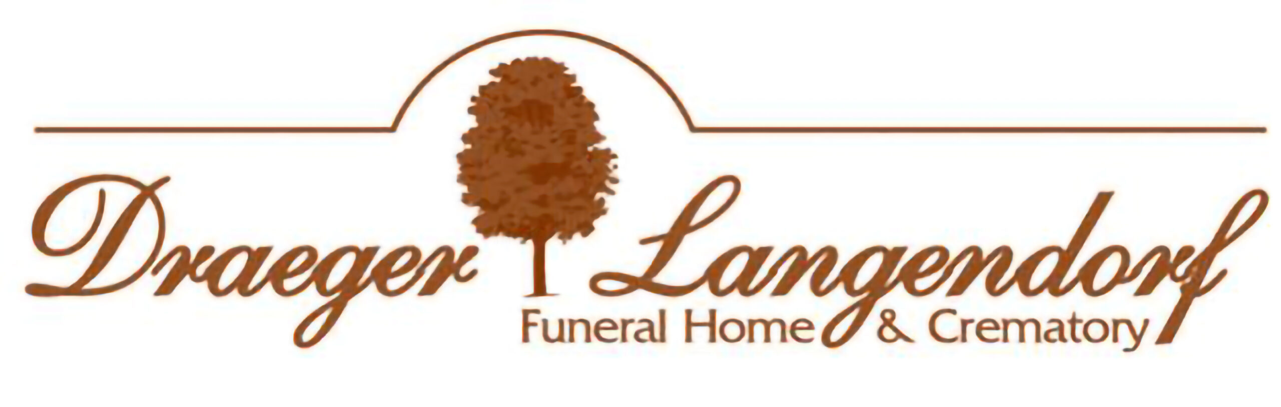 DLFH_Logo_300DPI_LARGE DLFH_Logo_300DPI_LARGE